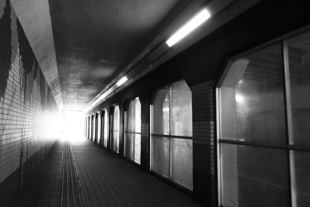 あの光の向こうに