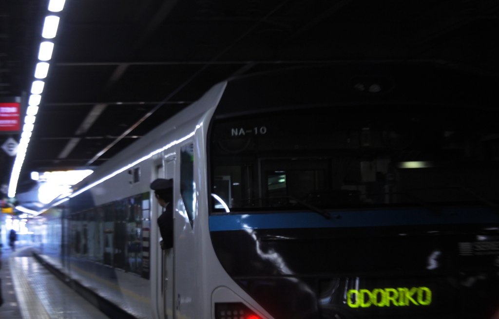 駅シリーズ～ODORIKO 