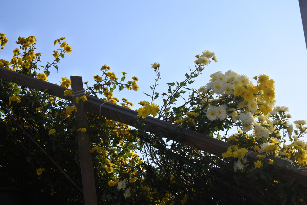 ちょっと、私たちも見て