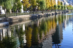 色づく水面