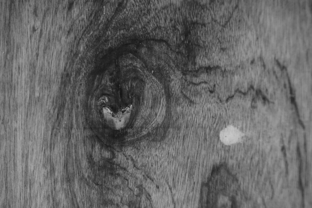 板に浮き出たもの