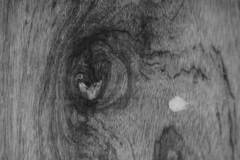 板に浮き出たもの