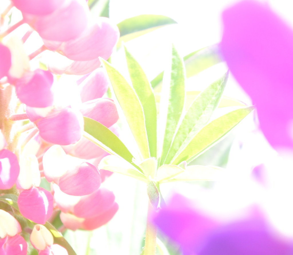 染