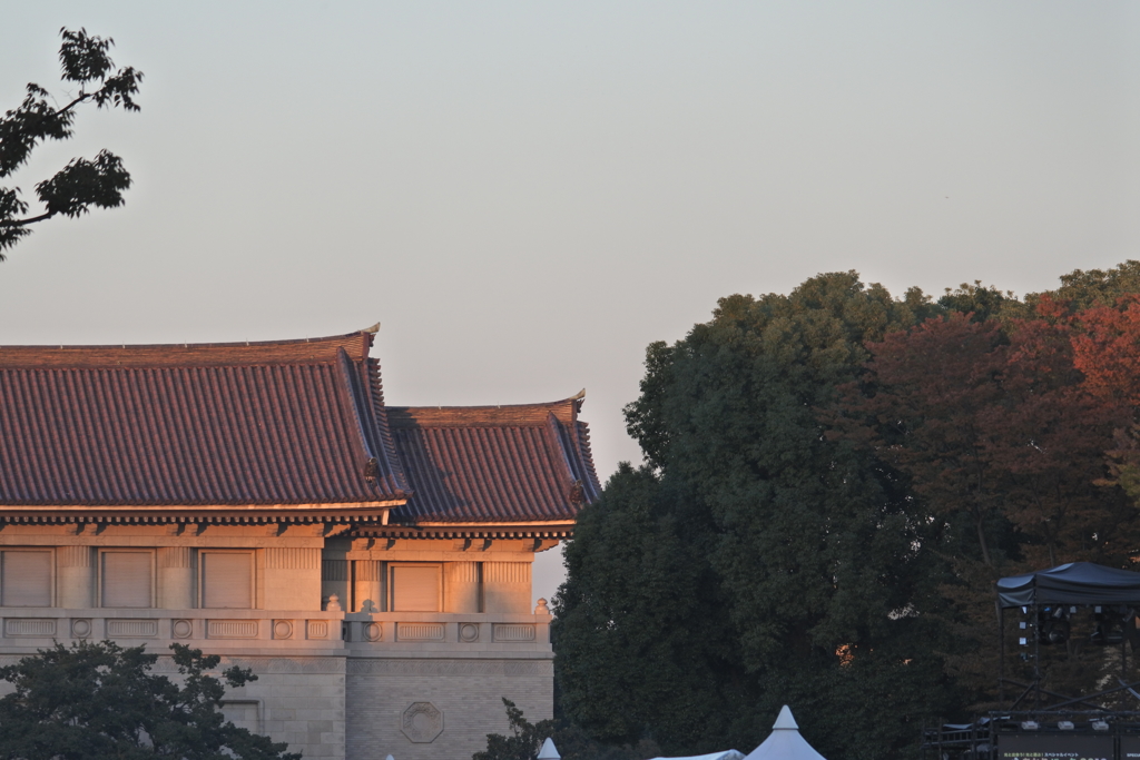 東京国立博物館　夕暮れ