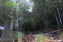 タウシュベツ川橋梁⑤