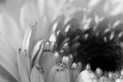 ブラックホール