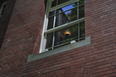 赤煉瓦の窓