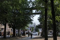 葛飾八幡宮二の鳥居と京成本線