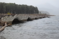 タウシュベツ川橋梁④