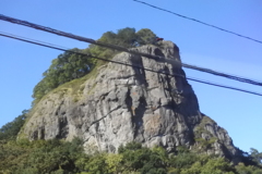 厳つい顔