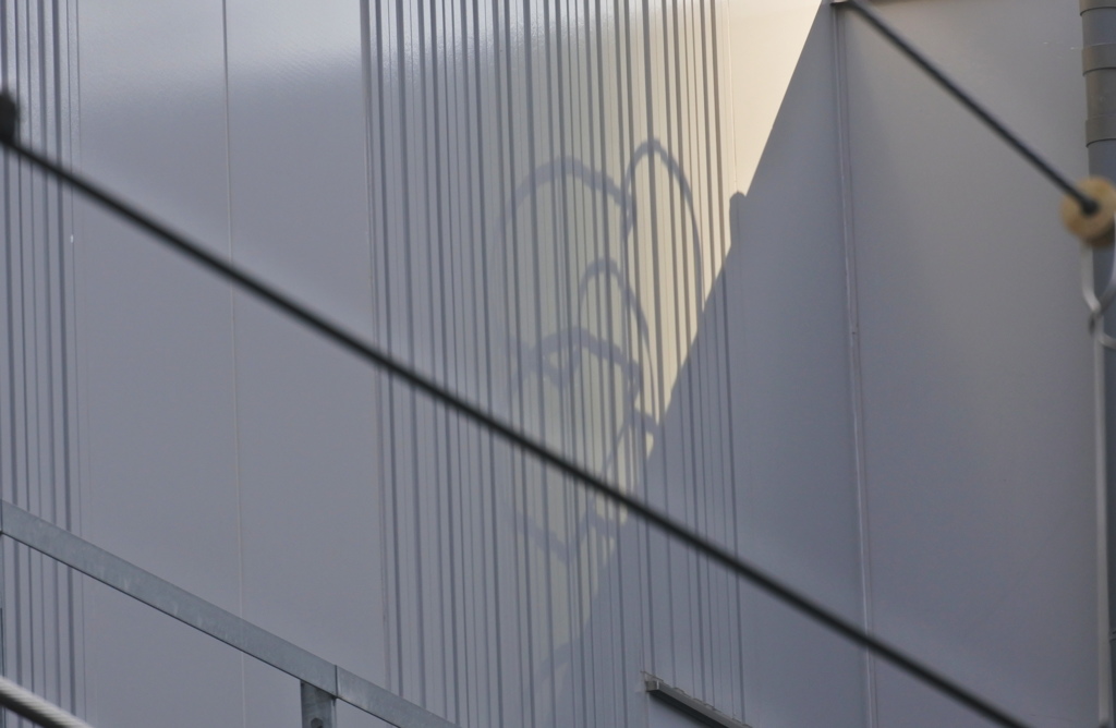 リベンジ広島　宮島口へ