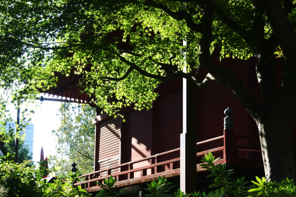 観音堂に午後の陽射し