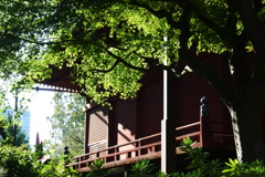 観音堂に午後の陽射し