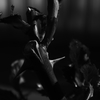 薔薇の芽