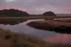 別寒辺牛湿原４