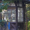 旧古河庭園～裏庭