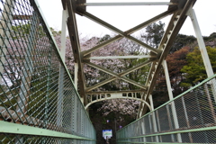 袴線橋から