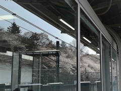 待合室に映る