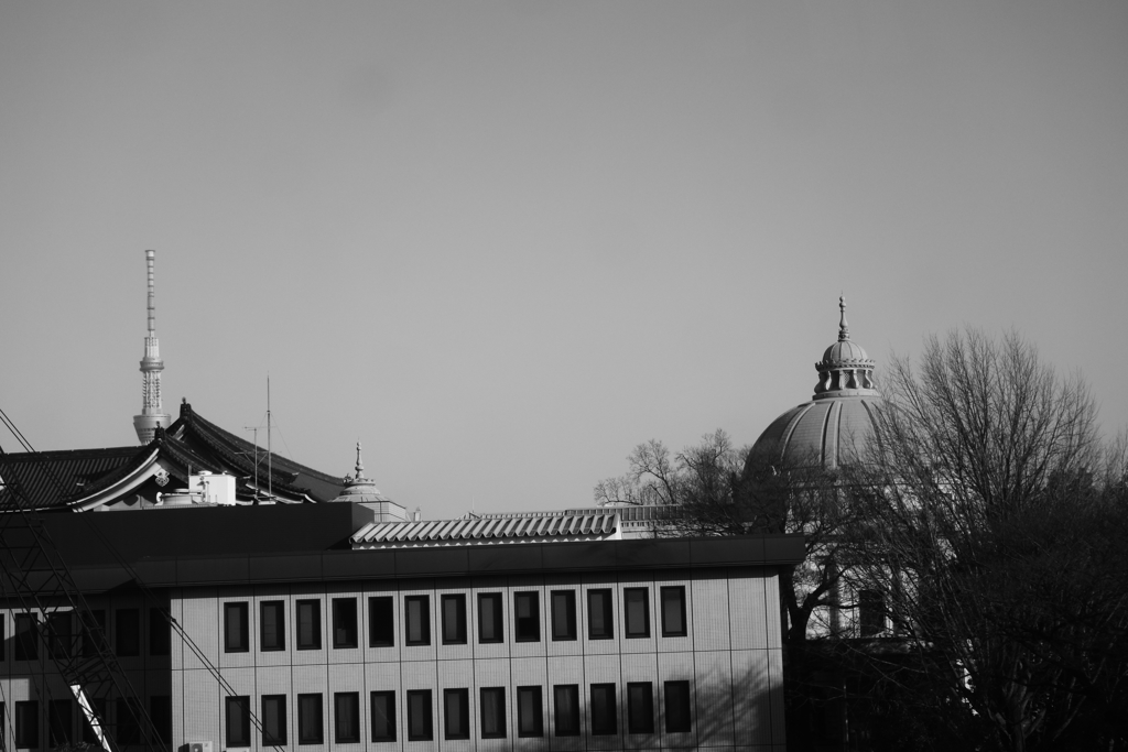 窓からの風景（おまけ）