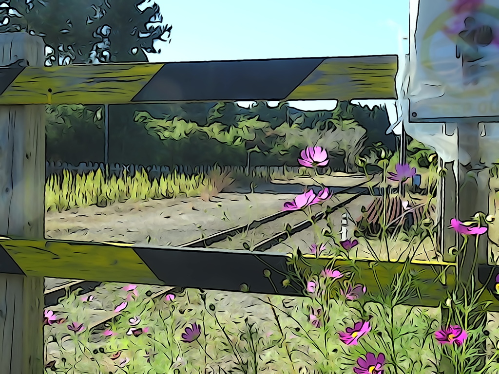 アニメ、上総中野駅物語～線路際の秋桜