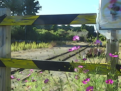 アニメ、上総中野駅物語～線路際の秋桜