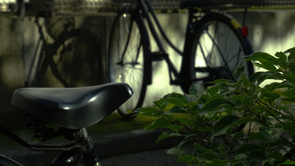 自転車～Ⅱ