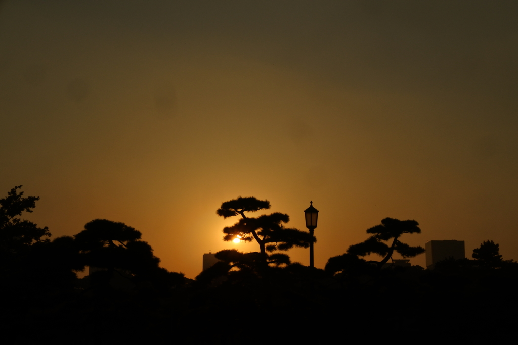 皇居の夕暮