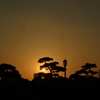 皇居の夕暮