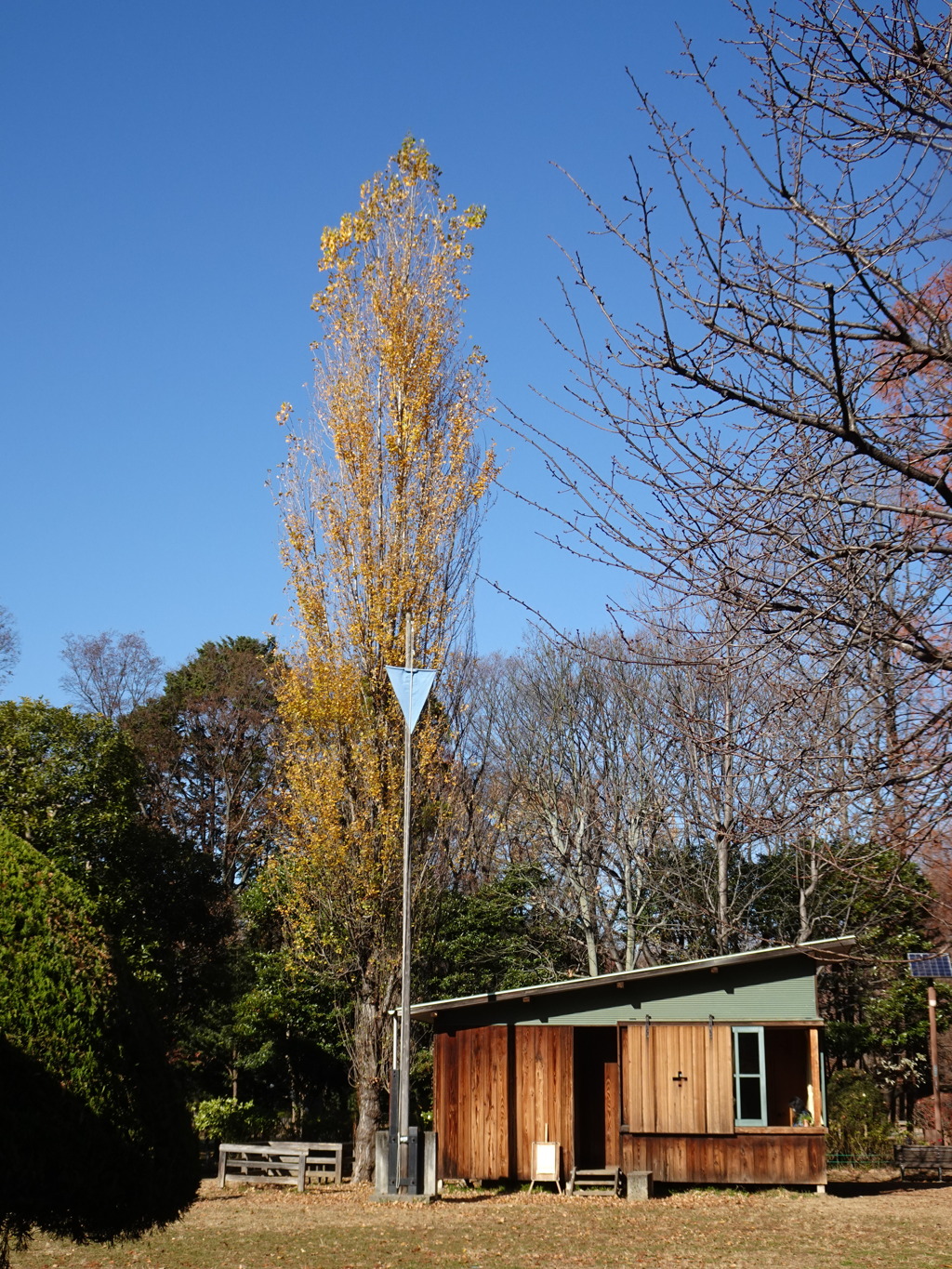 ヒヤシンスハウス