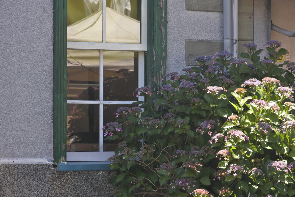 ペリーロードをご一緒に　窓