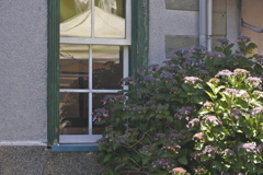 ペリーロードをご一緒に　窓