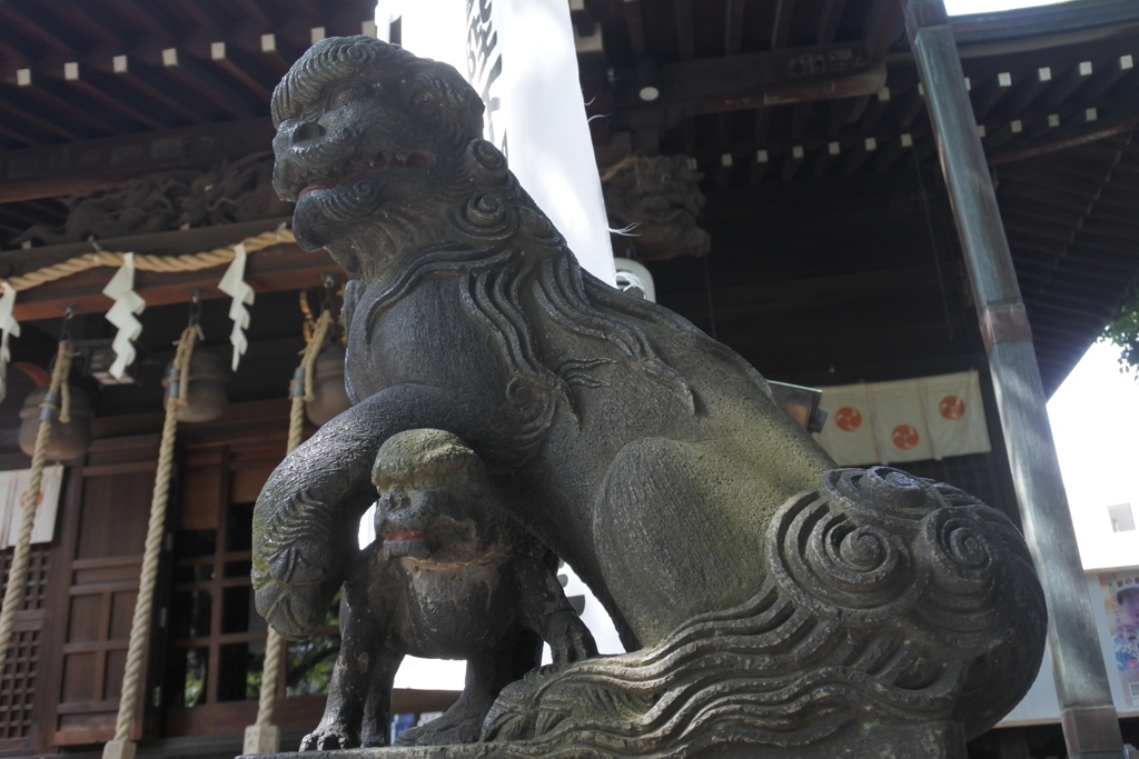 七社神社　狛犬　（子守犬）