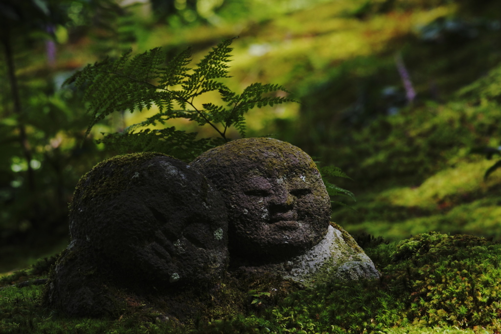 苔むす庭のお地蔵さん