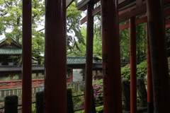 乙女稲荷神社の鳥居から望む
