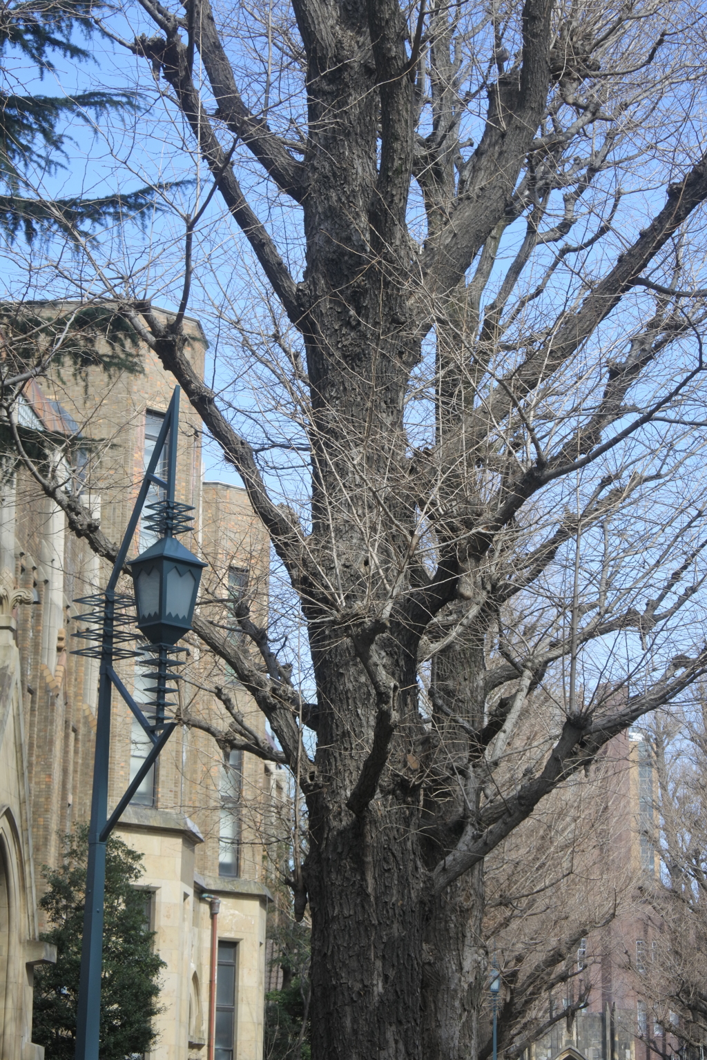 東京大学　Ⅸ