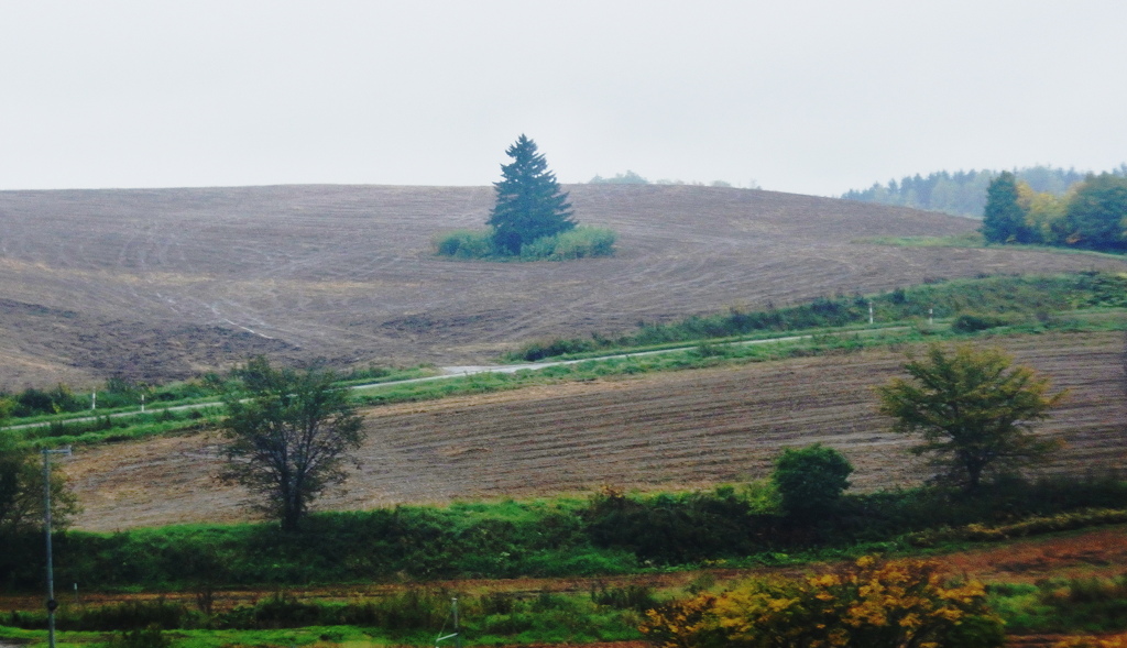 ここにもポツン