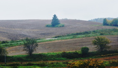 ここにもポツン