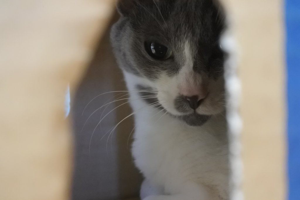 そうよ、ここが私の隠れ家