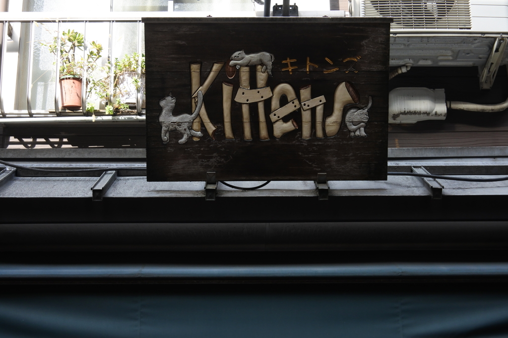 可愛い猫の看板