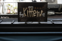 可愛い猫の看板