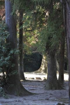 大元神社の境内