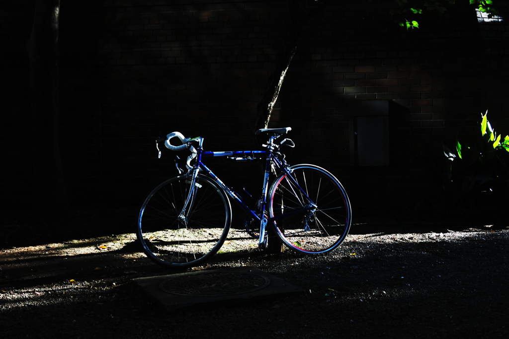 自転車置き場　その１