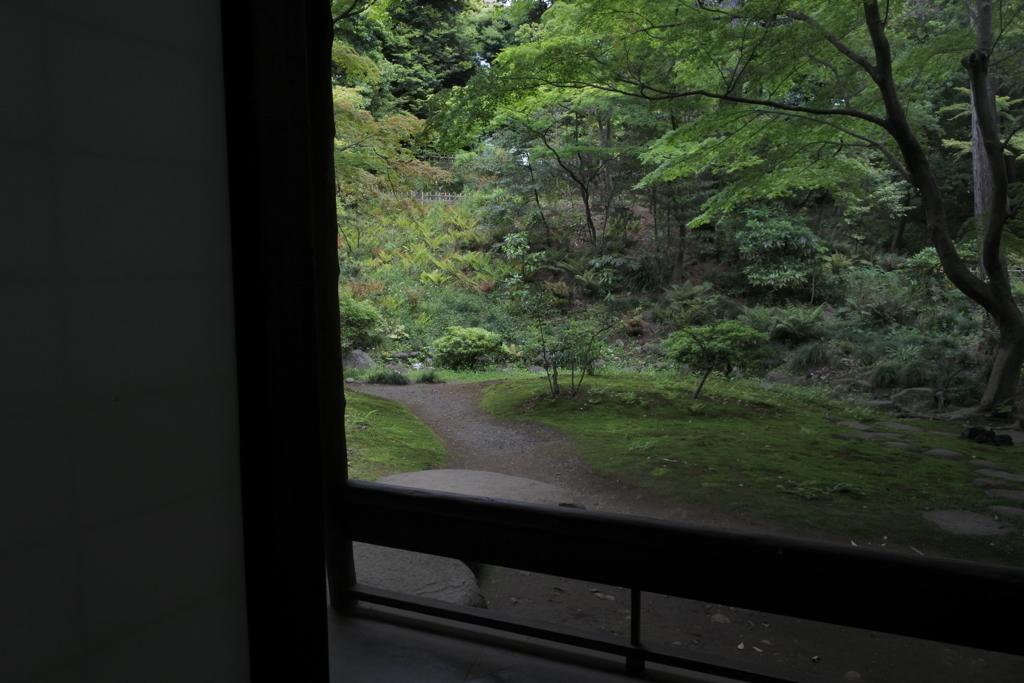 茶室の庭