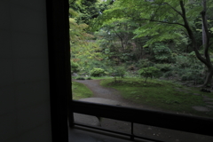 茶室の庭
