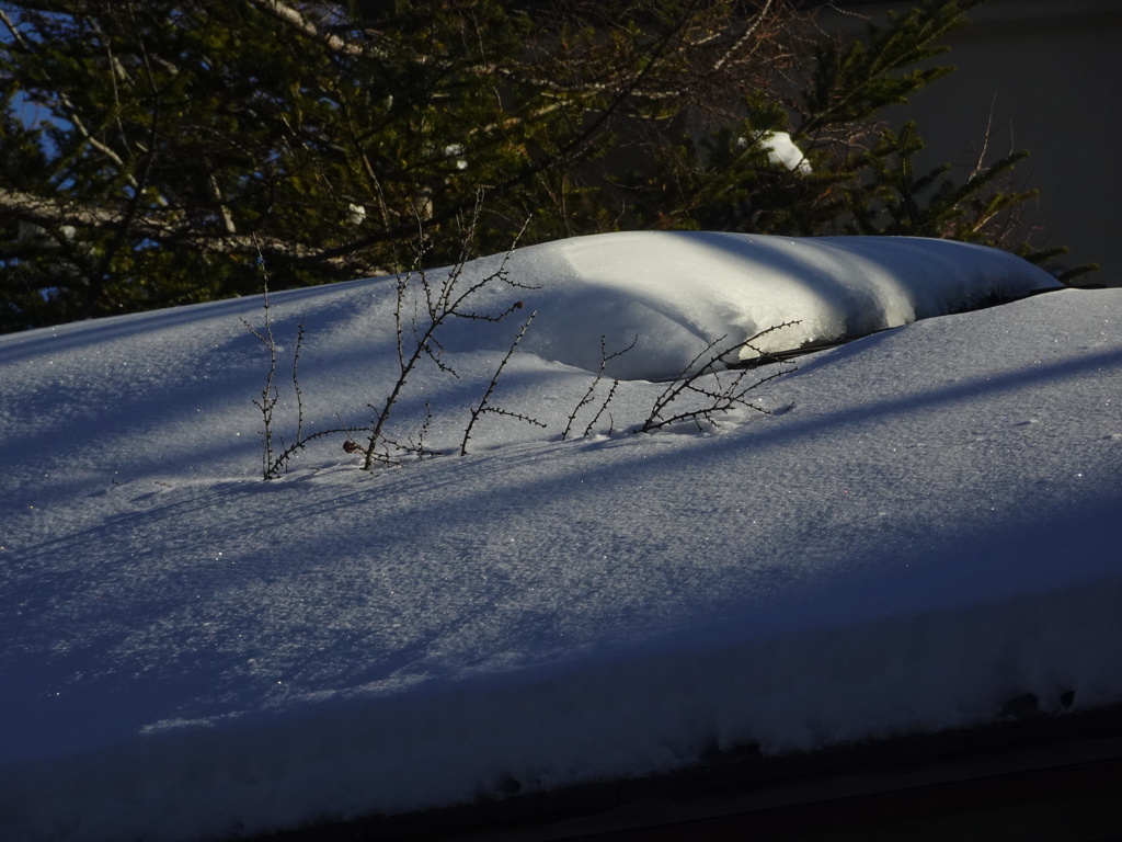 屋根の雪