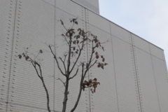 壁画？