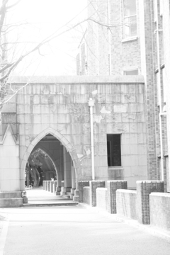 東京大学　Ⅱ