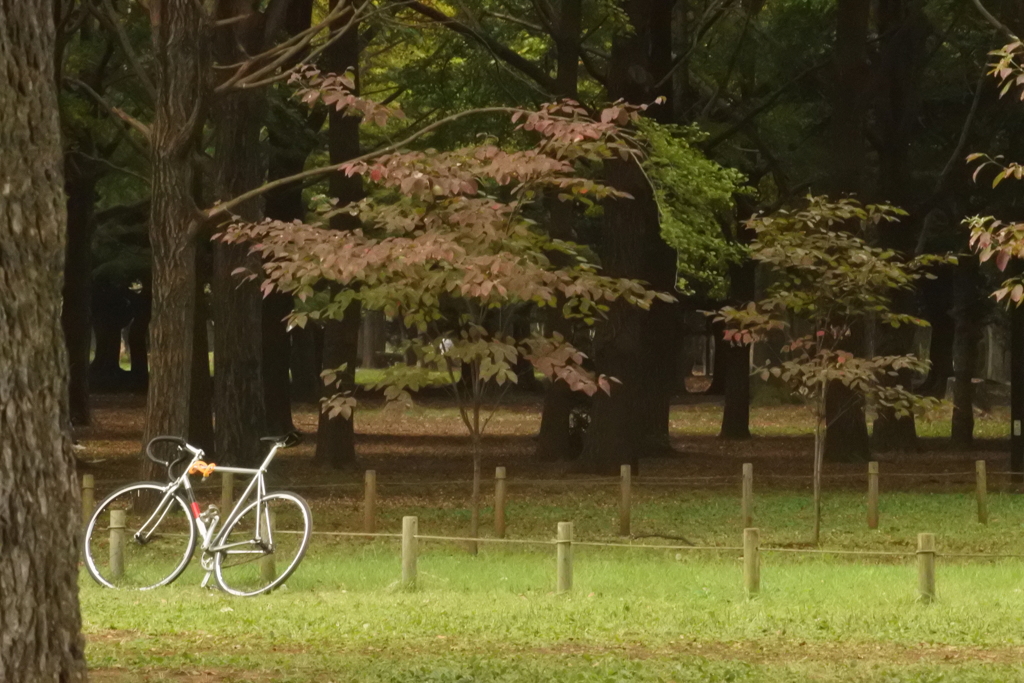 代々木公園にて