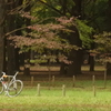 代々木公園にて