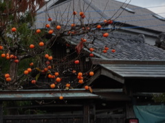 今年もよろしく